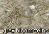 grey bloom veins